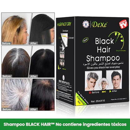 Shampoo Tinte Cubre Canas